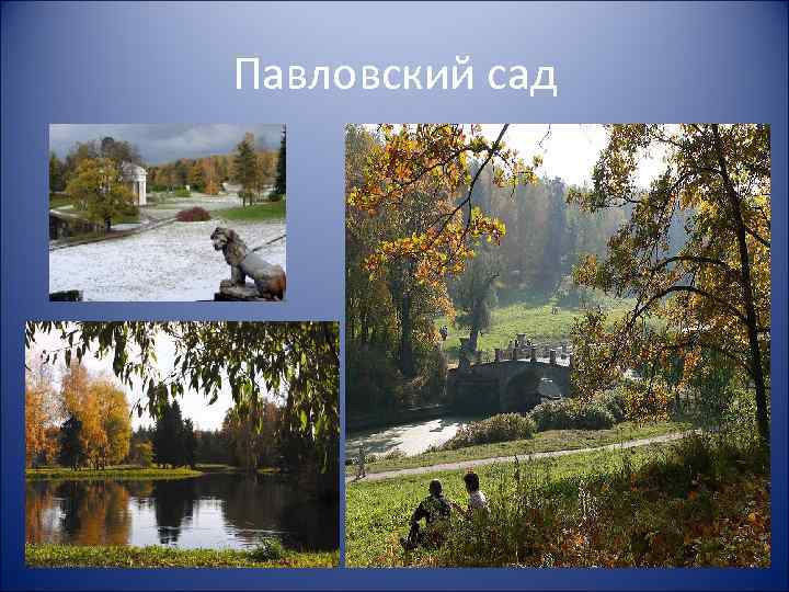 Павловский сад 