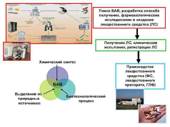 Поиск БАВ, разработка способа получения, фармакологические исследования и создание лекарственного средства (ЛС) Получения ЛС,