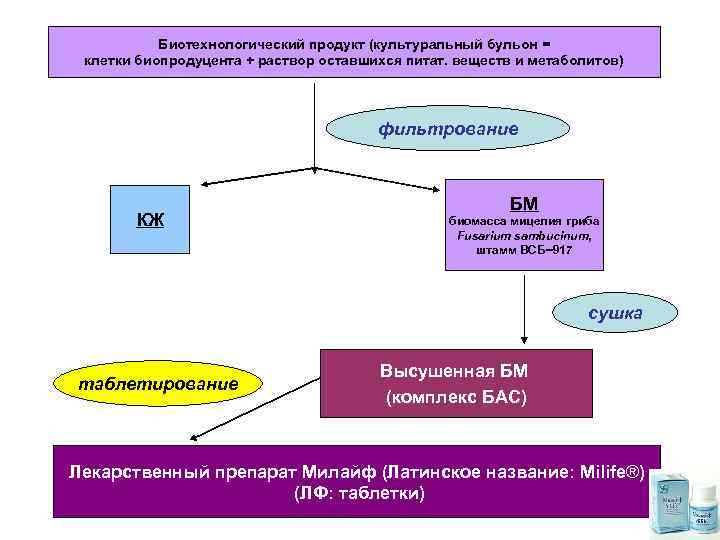 Биотехнологический продукт (культуральный бульон = клетки биопродуцента + раствор оставшихся питат. веществ и метаболитов)