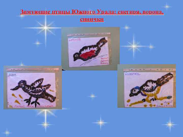 Зимующие птицы Южного Урала: снегиря, ворона, синички 