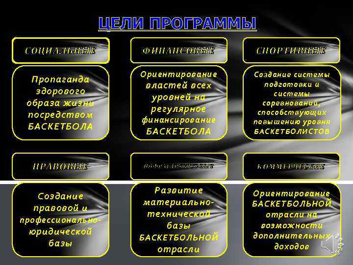 ЦЕЛИ ПРОГРАММЫ СОЦИАЛЬНЫЕ Пропаганда здорового образа жизни посредством БАСКЕТБОЛА ПРАВОВЫЕ Создание правовой и профессионально
