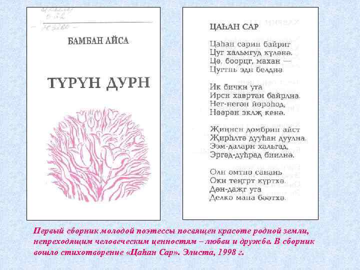 Первый сборник молодой поэтессы посвящен красоте родной земли, непреходящим человеческим ценностям – любви и