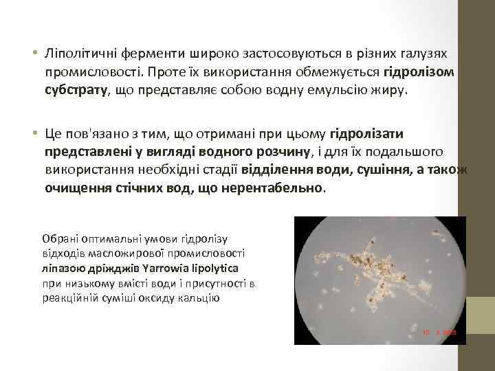  • Ліполітичні ферменти широко застосовуються в різних галузях промисловості. Проте їх використання обмежується