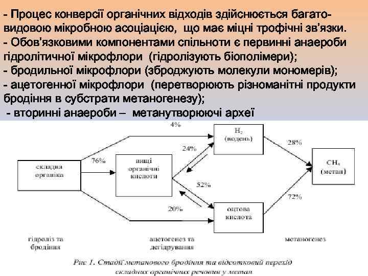 - Процес конверсії органічних відходів здійснюється багатовидовою мікробною асоціацією, що має міцні трофічні зв’язки.