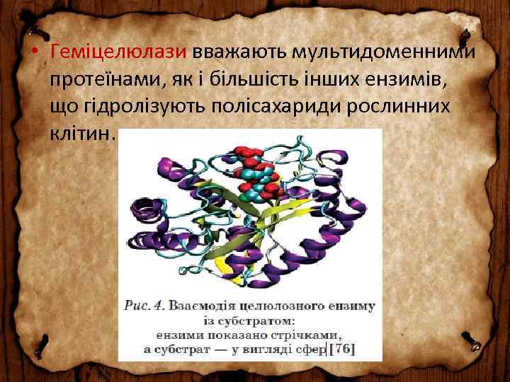  • Геміцелюлази вважають мультидоменними протеїнами, як і більшість інших ензимів, що гідролізують полісахариди