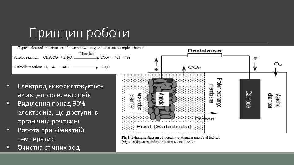 Принцип роботи • • Електрод використовується як акцептор електронів Виділення понад 90% електронів, що