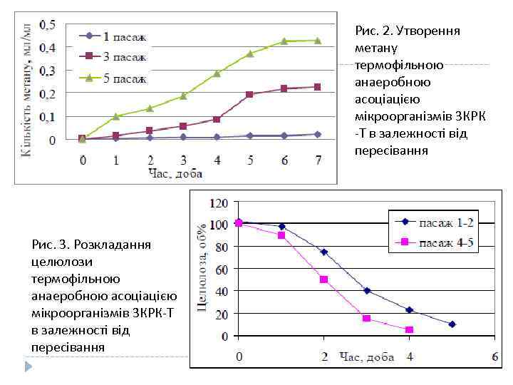 Рис. 2. Утворення метану термофільною анаеробною асоціацією мікроорганізмів 3 КPК -Т в залежності від