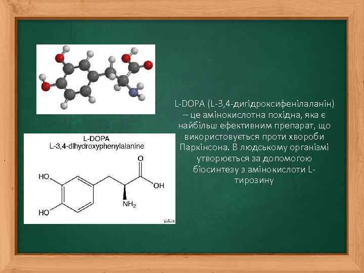 L-DOPA (L-3, 4 -дигідроксифенілаланін) – це амінокислотна похідна, яка є найбільш ефективним препарат, що