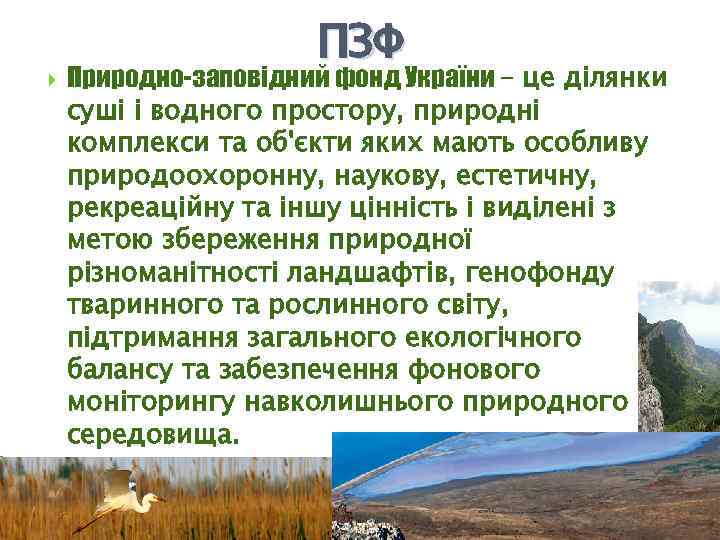  ПЗФ Природно-заповідний фонд України – це ділянки суші і водного простору, природні комплекси