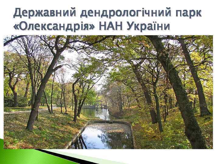 Державний дендрологічний парк «Олександрія» НАН України 