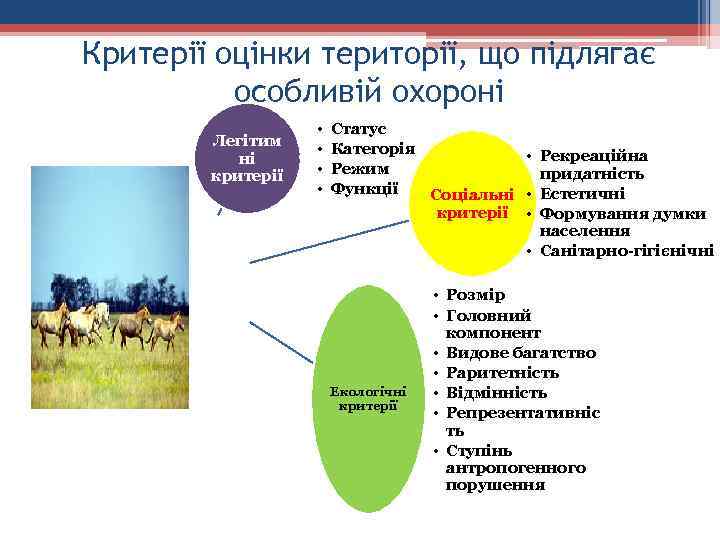 Критерії оцінки території, що підлягає особливій охороні Легітим ні критерії • • Статус Категорія