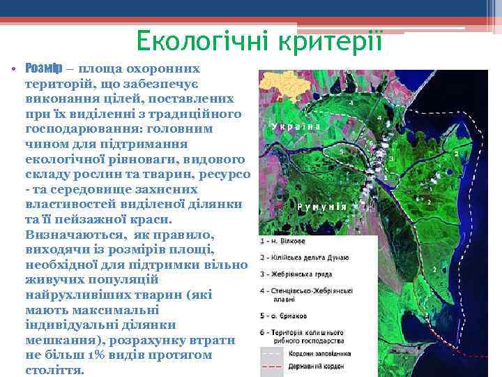 Екологічні критерії • Розмір – площа охоронних територій, що забезпечує виконання цілей, поставлених при