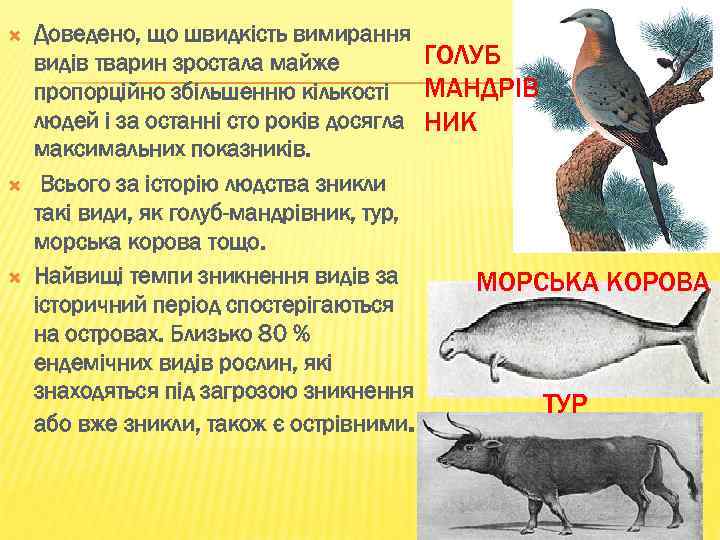  Доведено, що швидкість вимирання ГОЛУБ видів тварин зростала майже пропорційно збільшенню кількості МАНДРІВ