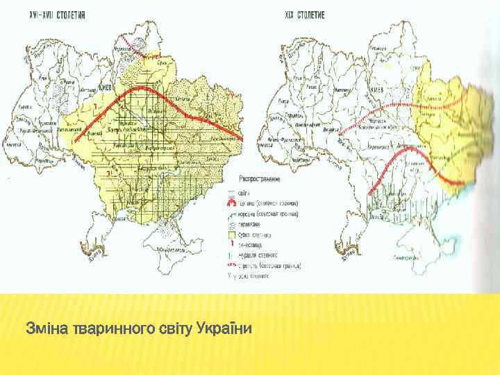 Зміна тваринного світу України 