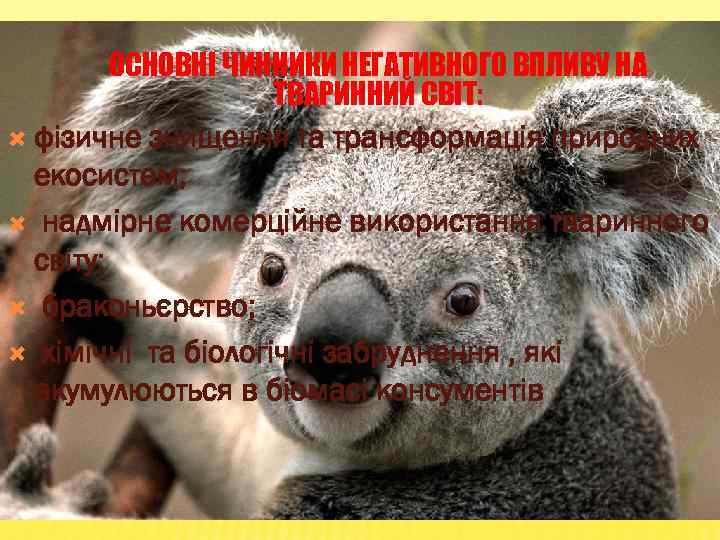 ОСНОВНІ ЧИННИКИ НЕГАТИВНОГО ВПЛИВУ НА ТВАРИННИЙ СВІТ: фізичне знищення та трансформація природних екосистем; надмірне