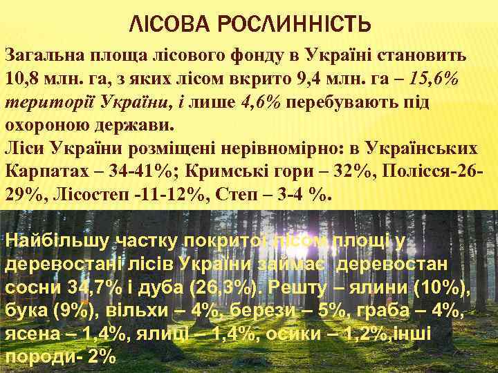 ЛІСОВА РОСЛИННІСТЬ Загальна площа лісового фонду в Україні становить 10, 8 млн. га, з