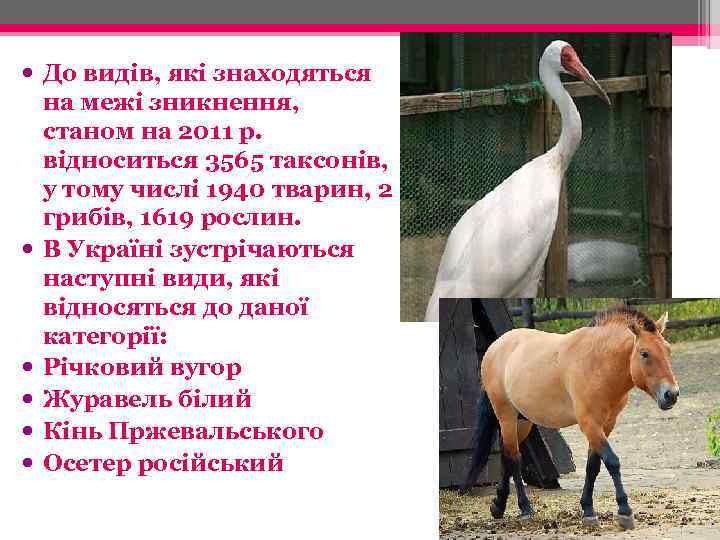  До видів, які знаходяться на межі зникнення, станом на 2011 р. відноситься 3565