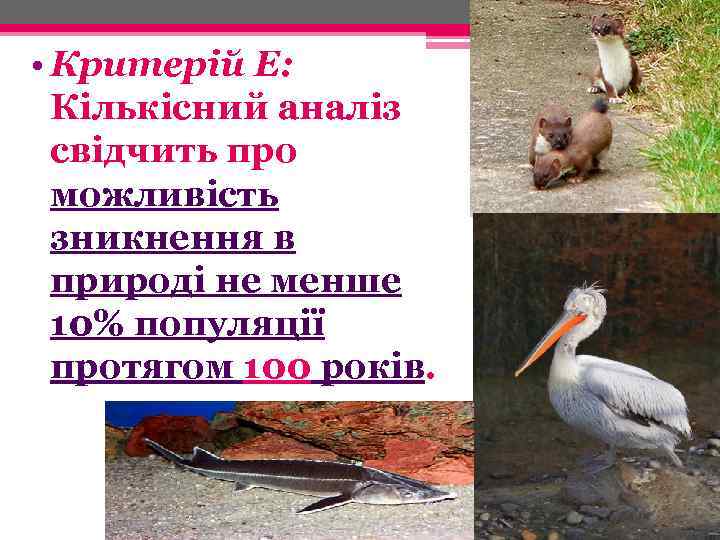  • Критерій Е: Кількісний аналіз свідчить про можливість зникнення в природі не менше