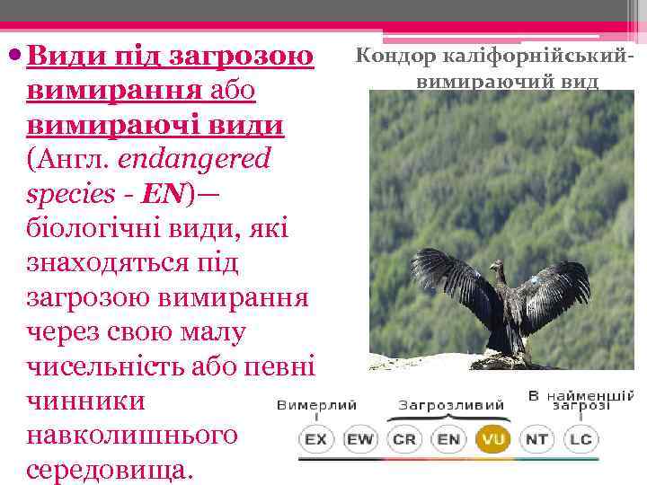  Види під загрозою вимирання або вимираючі види (Англ. endangered species - EN)— біологічні