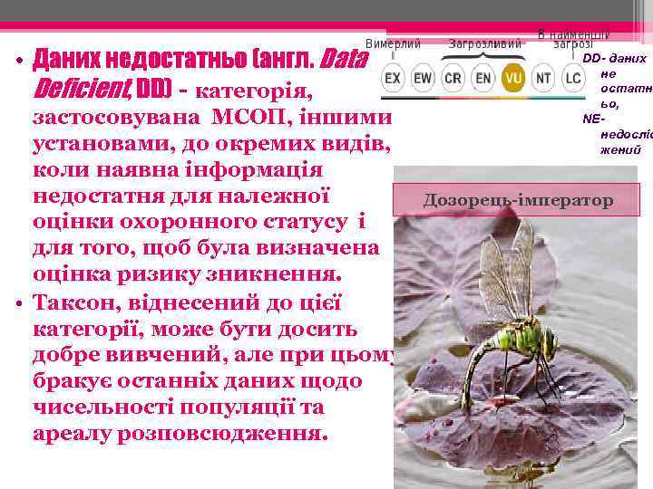  • Даних недостатньо (англ. Data Deficient, DD) - категорія, застосовувана МСОП, іншими установами,