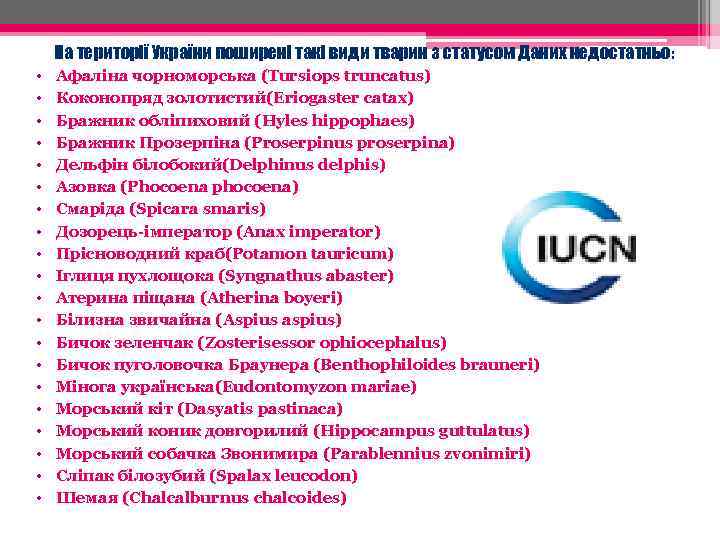 На території України поширені такі види тварин з статусом Даних недостатньо: • • •