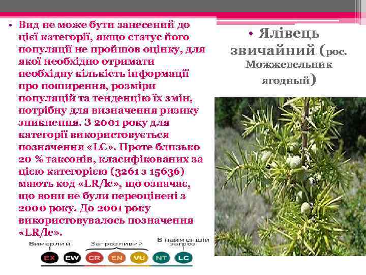  • Вид не може бути занесений до цієї категорії, якщо статус його популяції