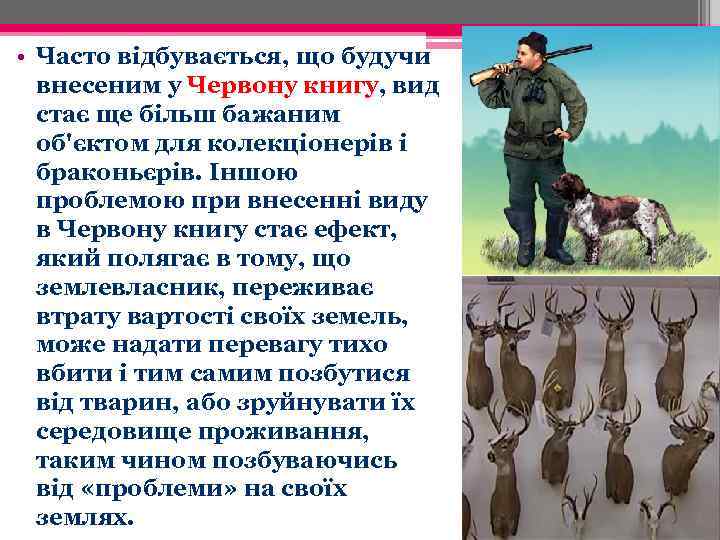  • Часто відбувається, що будучи внесеним у Червону книгу, вид стає ще більш