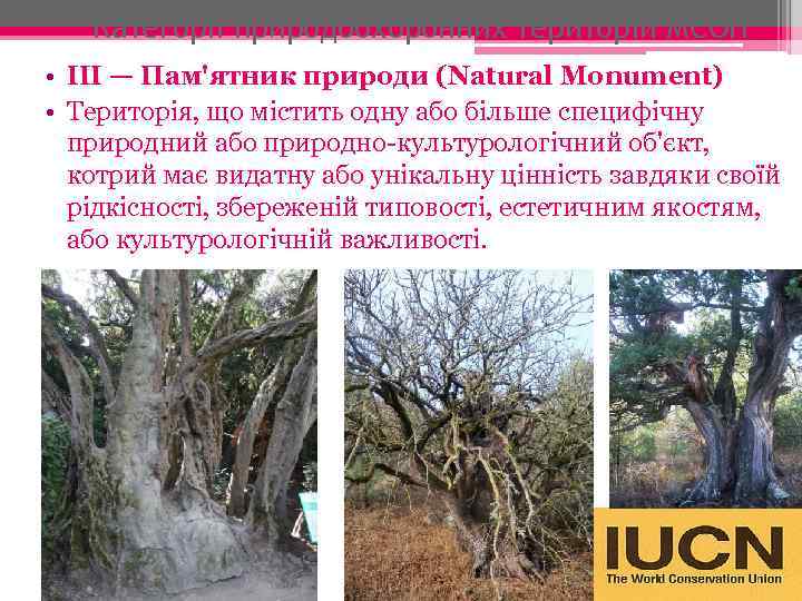 Категорії природоохоронних територій МСОП • ІІІ — Пам'ятник природи (Natural Monument) • Територія, що