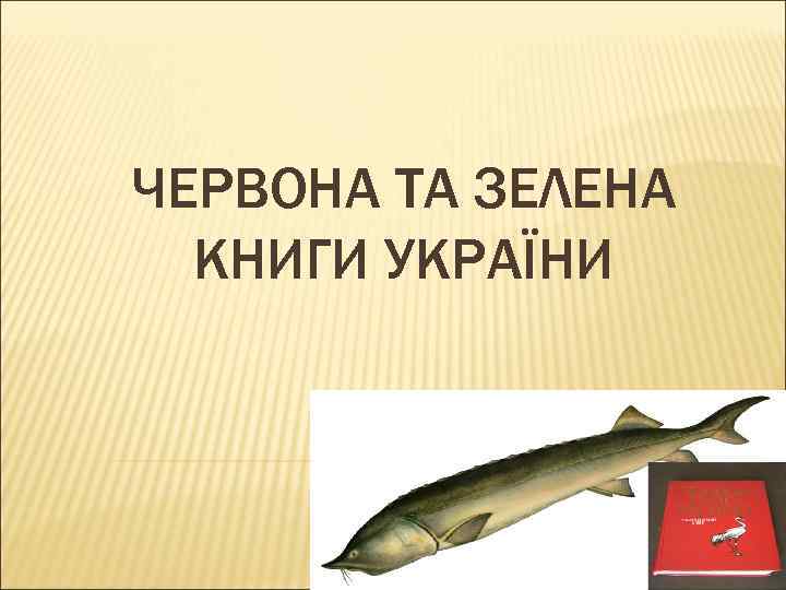 ЧЕРВОНА ТА ЗЕЛЕНА КНИГИ УКРАЇНИ 