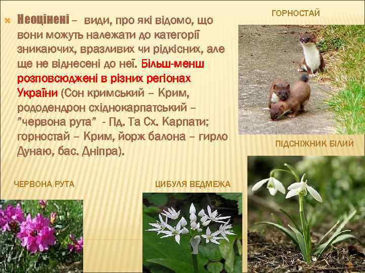  Неоцінені – види, про які відомо, що вони можуть належати до категорії зникаючих,
