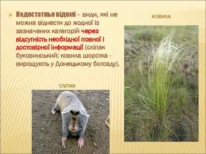  Недостатньо відомі – види, які не можна віднести до жодної із зазначених категорій