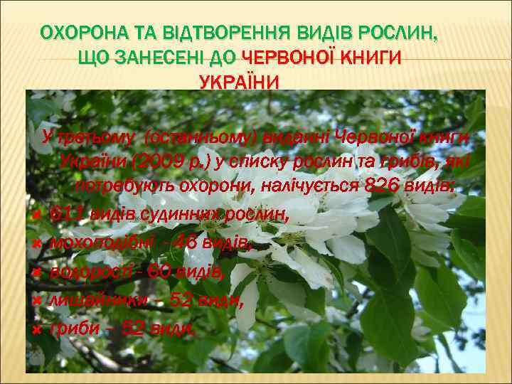 ОХОРОНА ТА ВІДТВОРЕННЯ ВИДІВ РОСЛИН, ЩО ЗАНЕСЕНІ ДО ЧЕРВОНОЇ КНИГИ УКРАЇНИ У третьому (останньому)