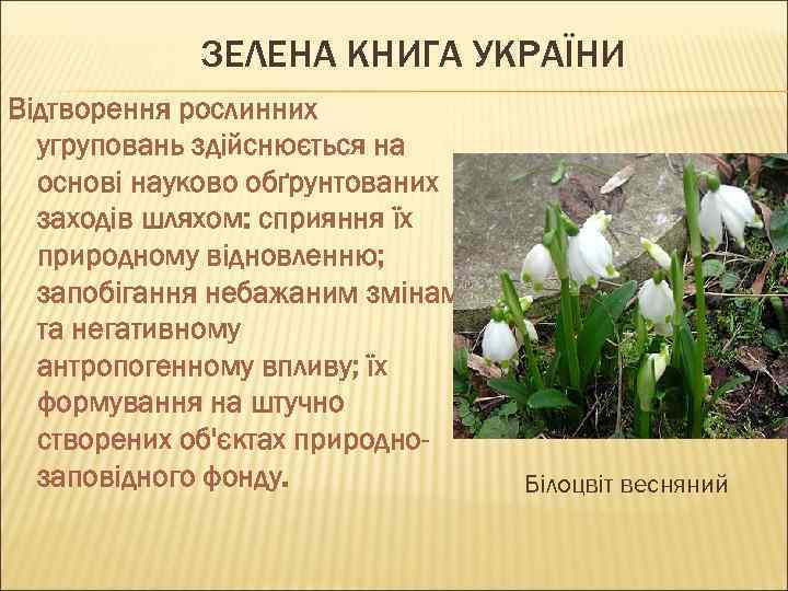 ЗЕЛЕНА КНИГА УКРАЇНИ Відтворення рослинних угруповань здійснюється на основі науково обґрунтованих заходів шляхом: сприяння