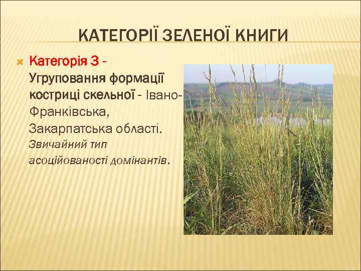 КАТЕГОРІЇ ЗЕЛЕНОЇ КНИГИ Категорія 3 Угруповання формації костриці скельної - Івано. Франківська, Закарпатська області.