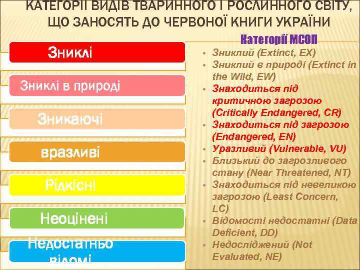 КАТЕГОРІЇ ВИДІВ ТВАРИННОГО І РОСЛИННОГО СВІТУ, ЩО ЗАНОСЯТЬ ДО ЧЕРВОНОЇ КНИГИ УКРАЇНИ Зниклі в