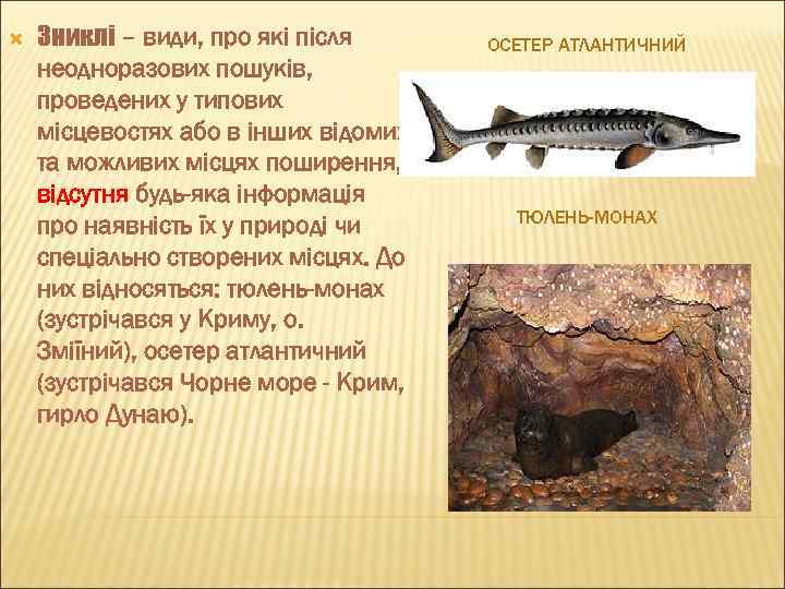  Зниклі – види, про які після неодноразових пошуків, проведених у типових місцевостях або