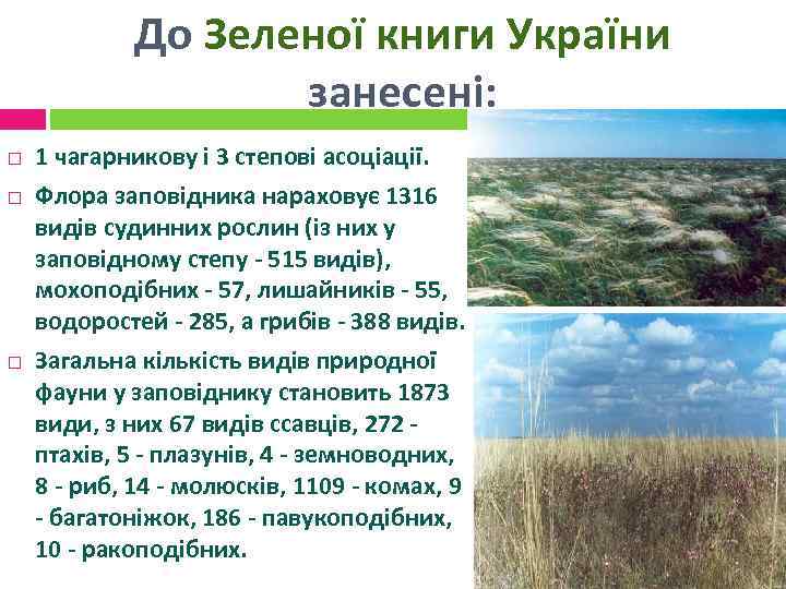 До Зеленої книги України занесені: 1 чагарникову і 3 степові асоціації. Флора заповідника нараховує