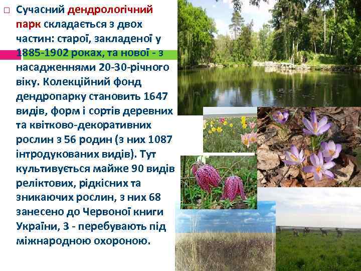  Сучасний дендрологічний парк складається з двох частин: старої, закладеної у 1885 -1902 роках,