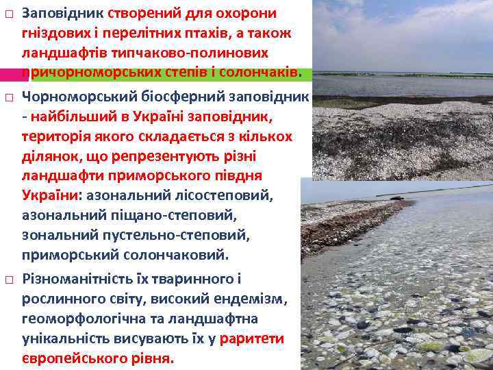  Заповідник створений для охорони гніздових і перелітних птахів, а також ландшафтів типчаково-полинових причорноморських