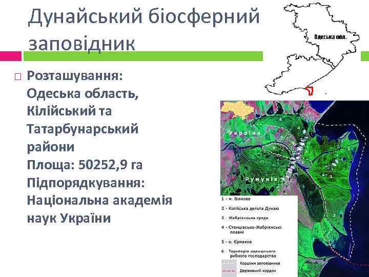 Дунайський біосферний заповідник Розташування: Одеська область, Кілійський та Татарбунарський райони Площа: 50252, 9 га