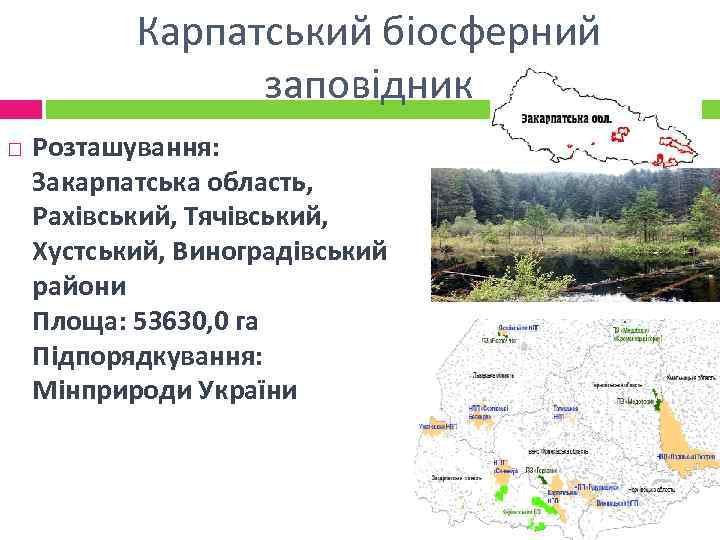 Карпатський біосферний заповідник Розташування: Закарпатська область, Рахівський, Тячівський, Хустський, Виноградівський райони Площа: 53630, 0