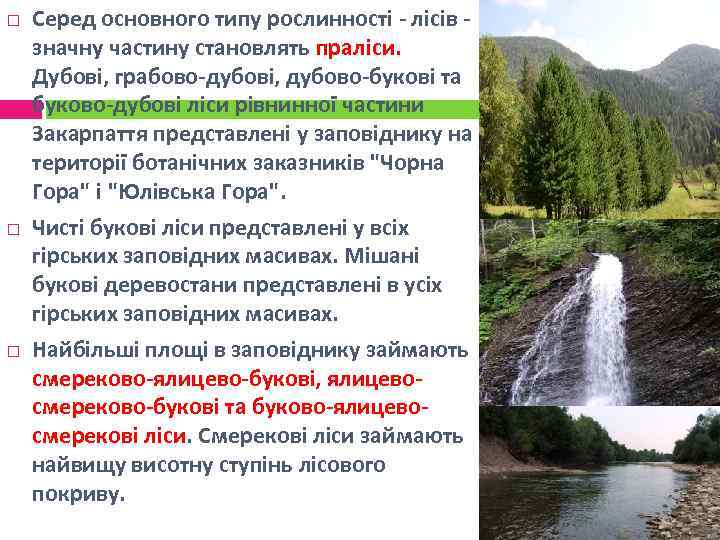  Серед основного типу рослинності - лісів значну частину становлять праліси. Дубові, грабово-дубові, дубово-букові