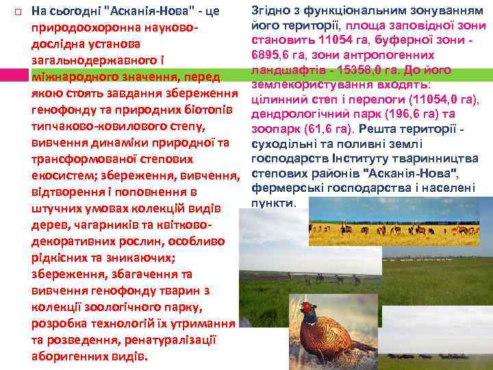  На сьогодні "Асканія-Нова" - це природоохоронна науководослідна установа загальнодержавного і міжнародного значення, перед