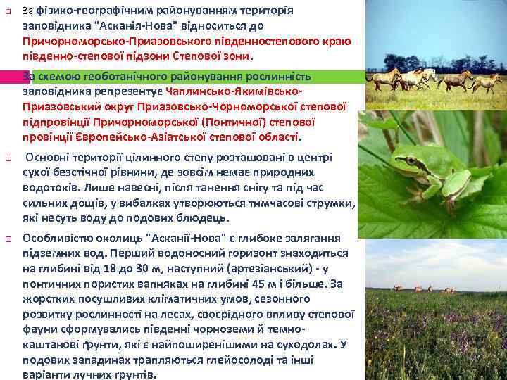  За фізико-географічним районуванням територія заповідника "Асканія-Нова" відноситься до Причорноморсько-Приазовського південностепового краю південно-степової підзони