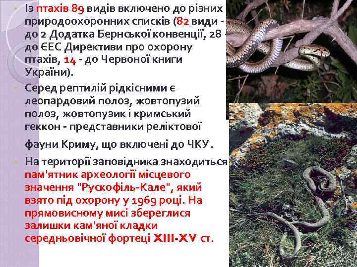 Із птахів 89 видів включено до різних природоохоронних списків (82 види - до 2
