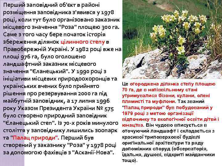 Перший заповідний об'єкт в районі розміщення заповідника з'явився у 1978 році, коли тут було