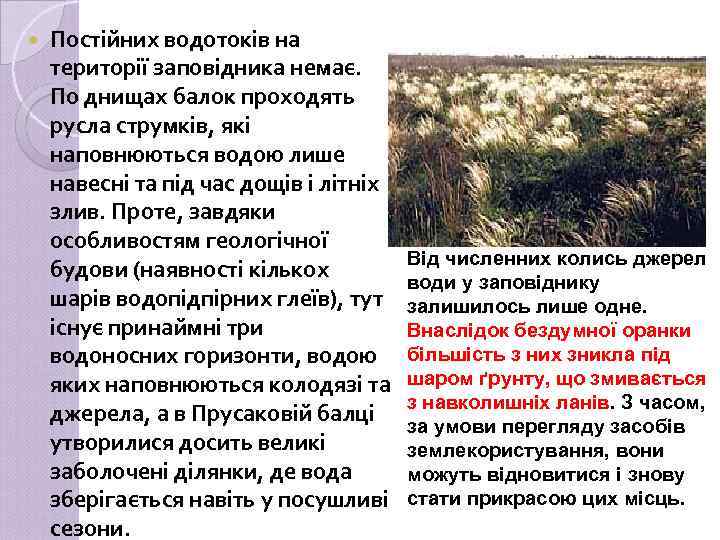  Постійних водотоків на території заповідника немає. По днищах балок проходять русла струмків, які