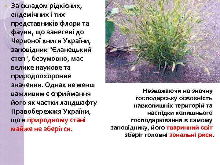  За складом рідкісних, ендемічних і тих представників флори та фауни, що занесені до