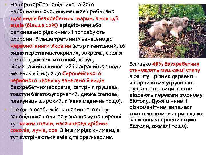 На території заповідника та його найближчих околиць мешкає приблизно 1500 видів безхребетних тварин, з