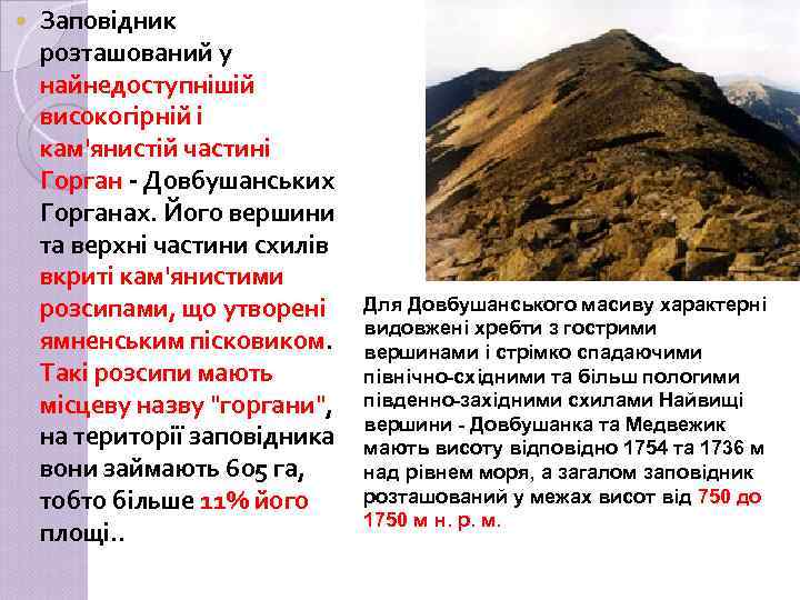  Заповідник розташований у найнедоступнішій високогірній і кам'янистій частині Горган - Довбушанських Горганах. Його